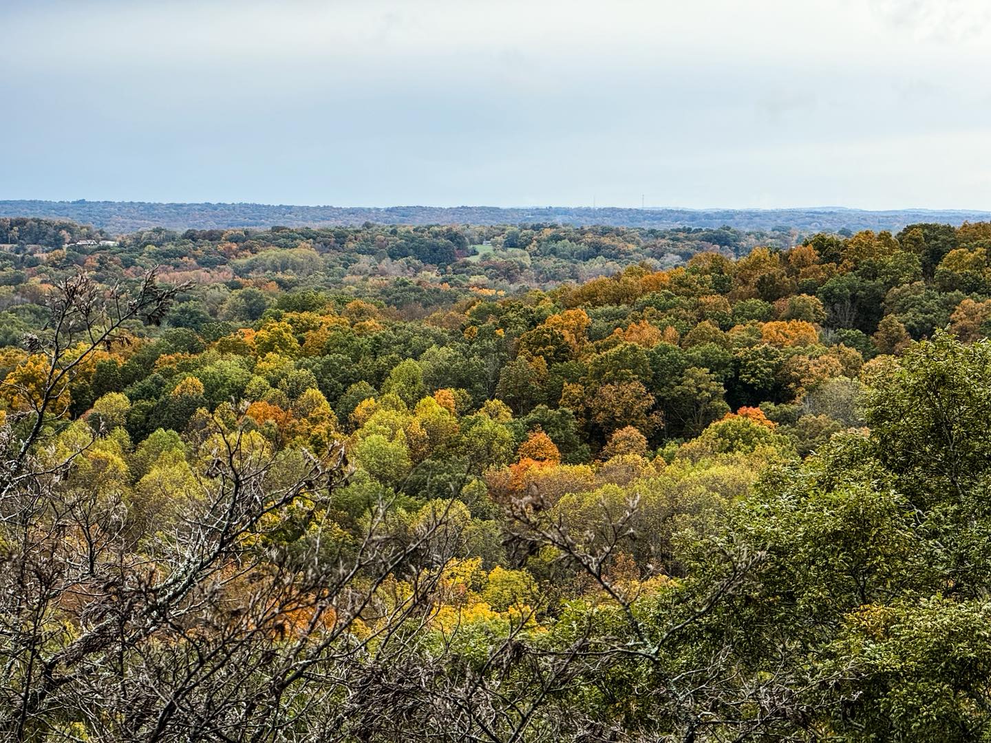 Cedar Bluff Fall Colors Video