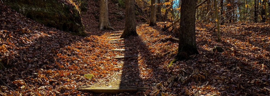 Guided Hiking Services Guided Hiking Services