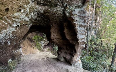 Hidden Arch and Silvermine Arch Trail Guide