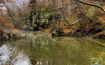 Bushwhacking Across the Creek from Owl Bluff Video