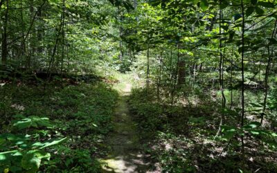 White Oaks Trail Guide