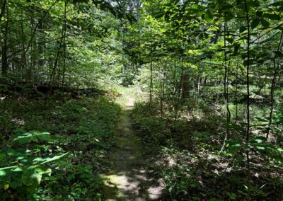 White Oaks Trail