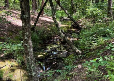 White Oaks Trail Creek