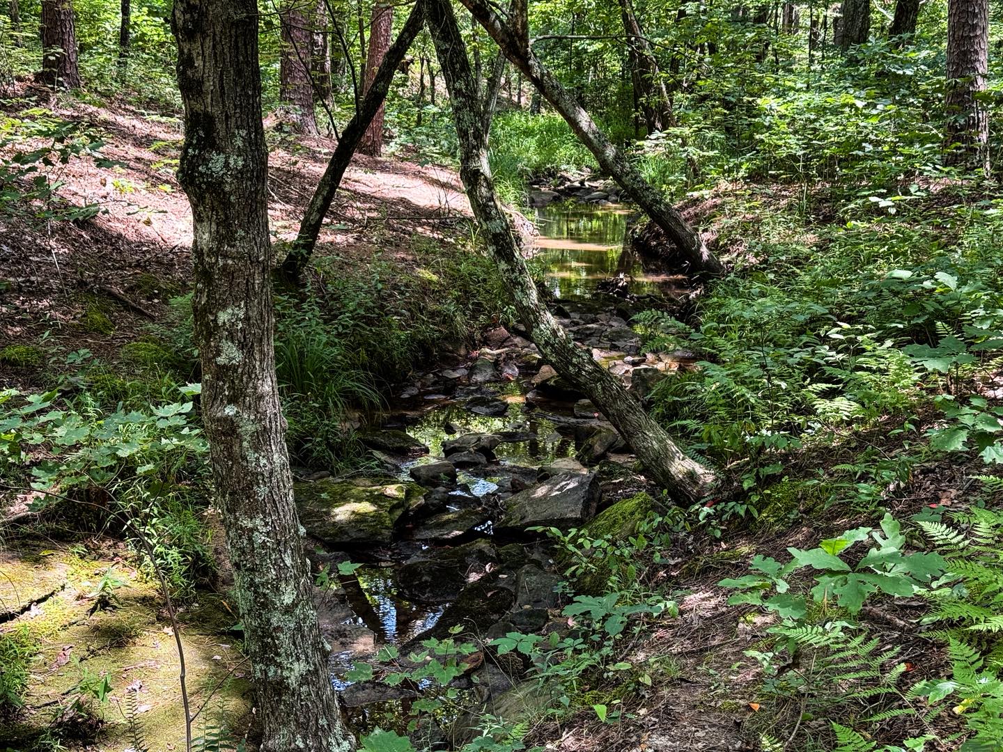 White Oaks Trail Creek