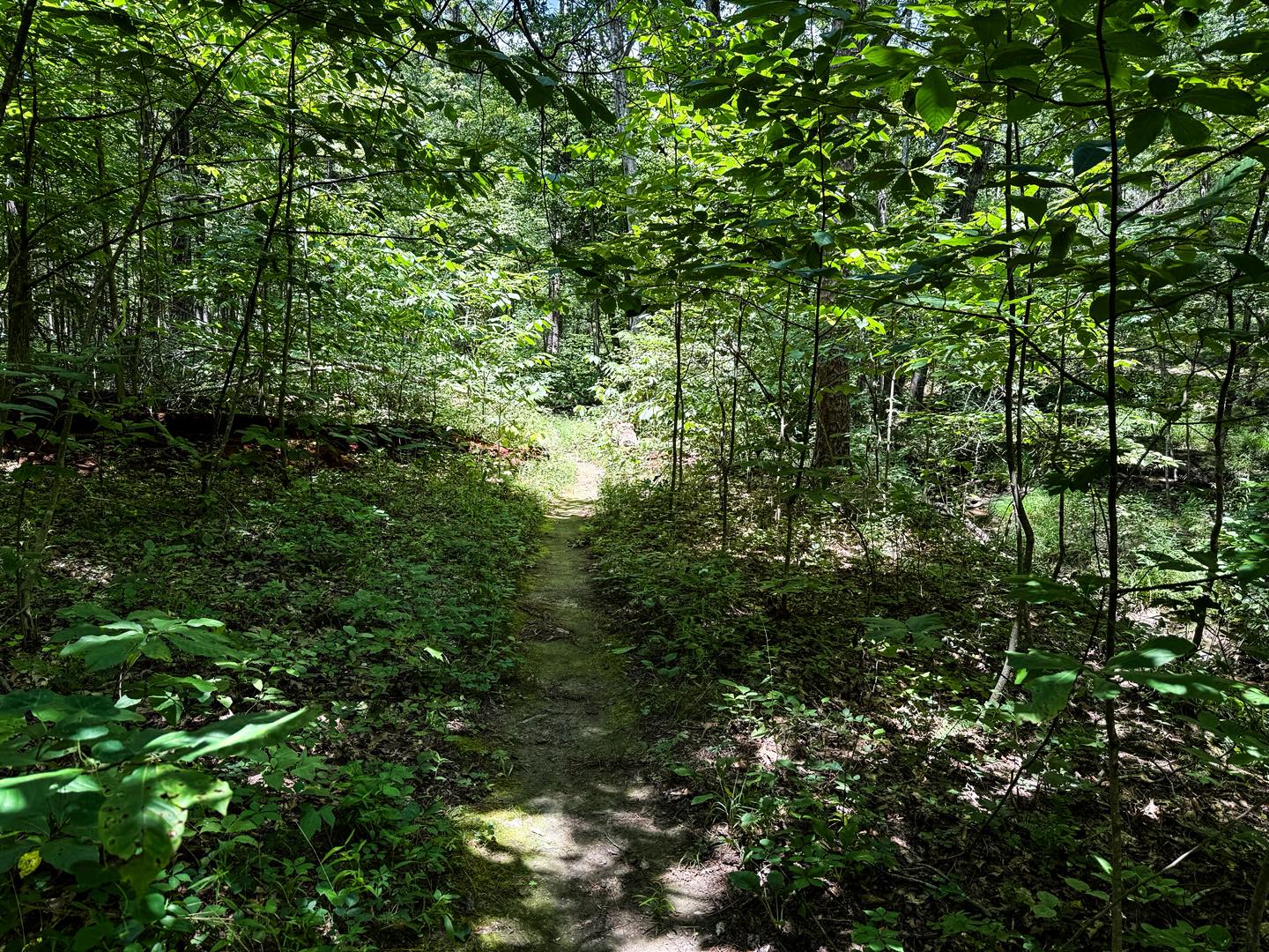 White Oaks Trail