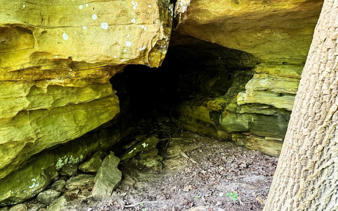 Bluffage Hunting at Wolfden Hollow Video