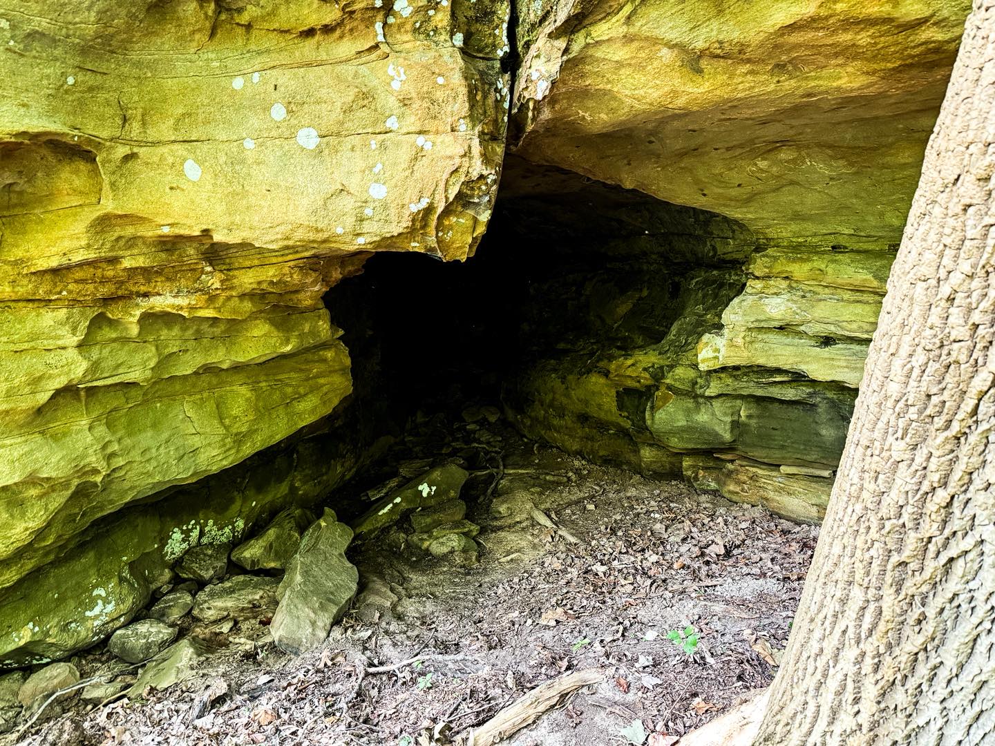 Bluffage Hunting at Wolfden Hollow Video