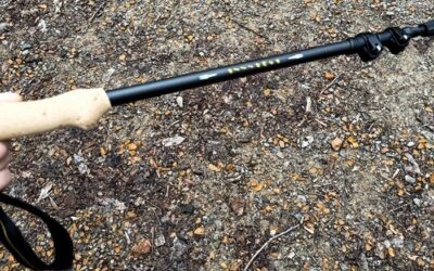 Alps Mountaineering Alliance Trekking Poles Review