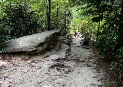 Auxier Ridge to Courthouse Rock Trail Condition