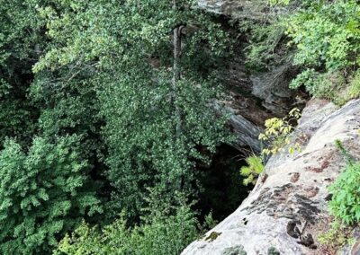 Koomer Ridge Bluffage