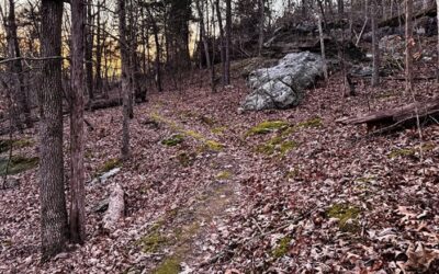 How to Plan a Last Minute Hike without Overthinking it