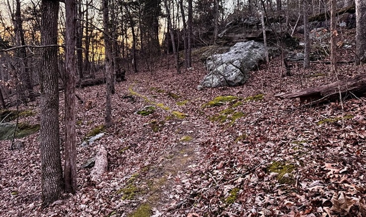 Plan a Last Minute Hike Plan a Last Minute Hike