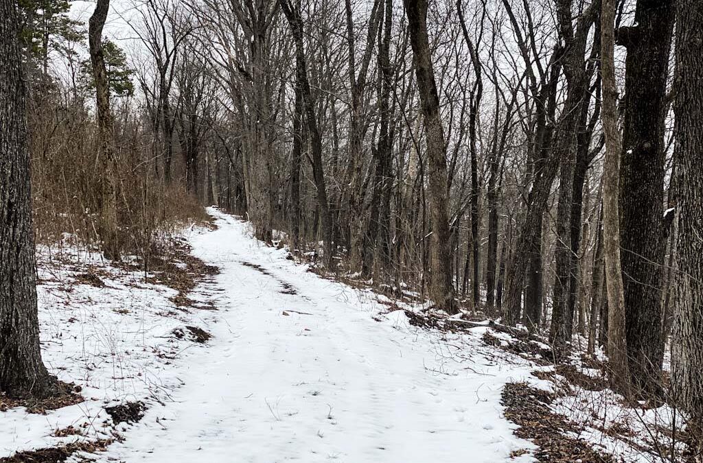 10 Short Hiking Trails in Southern Illinois for Cold Weather Hikes
