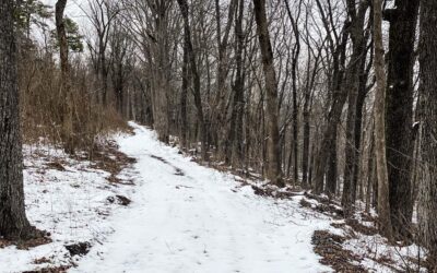 10 Short Hiking Trails in Southern Illinois for Cold Weather Hikes