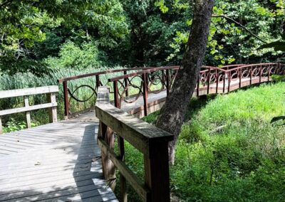 Wilderness Lake Trail in Henderson