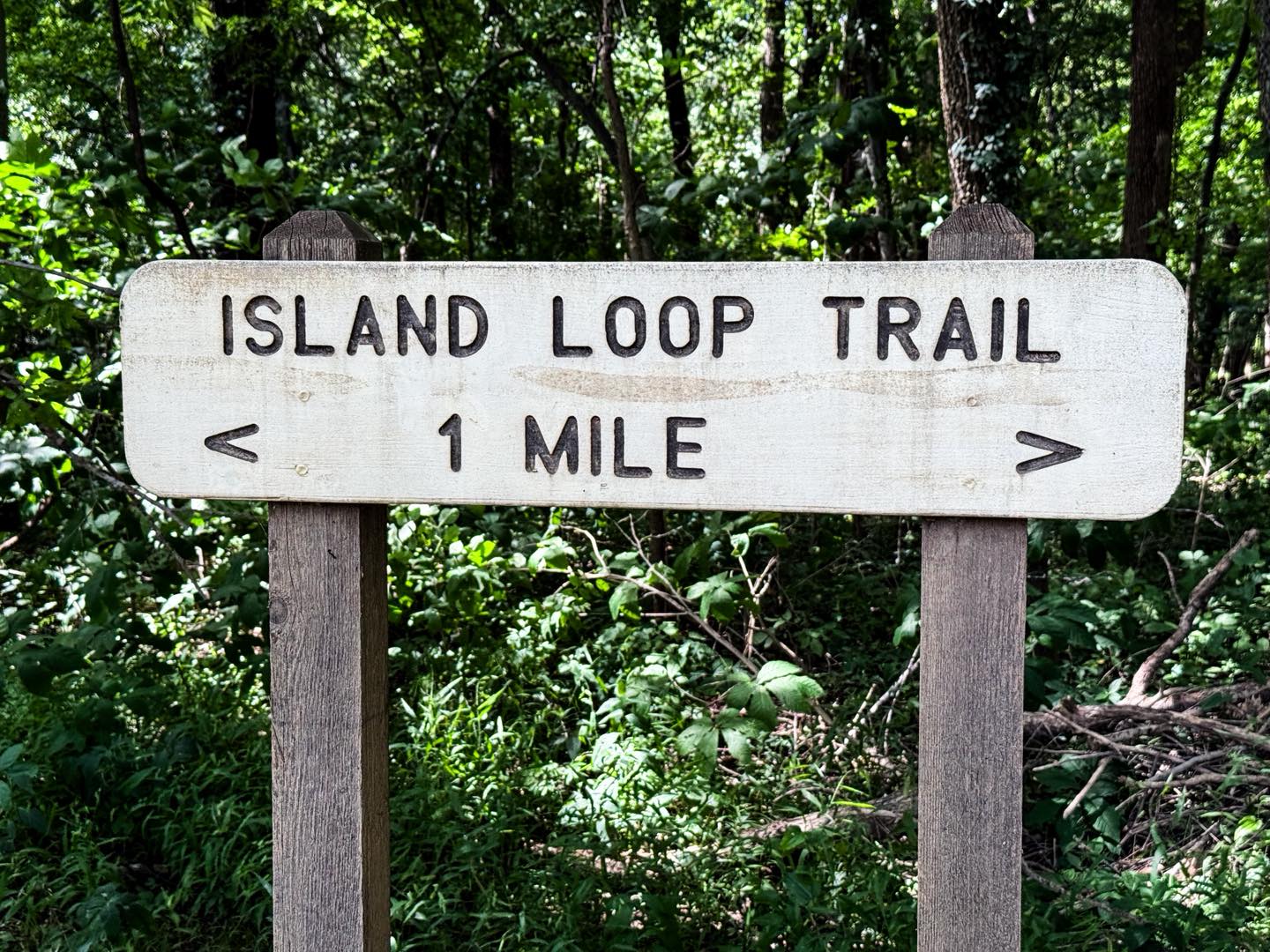 Audubon Wetlands Trail Sign
