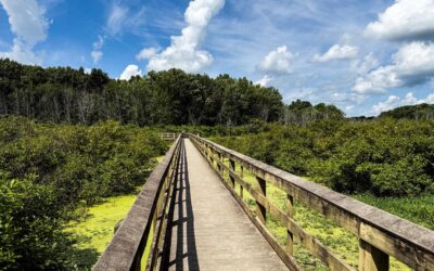 Audubon Wetlands Trail