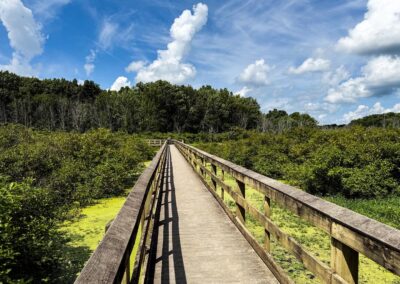 Audubon Wetlands Trail