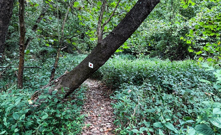 Make Long Hikes Feel Easier