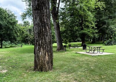 Picnic Area at Bollinger Mill State Historic Site